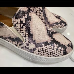 Steve Madden lightly used Snake skin sneakers